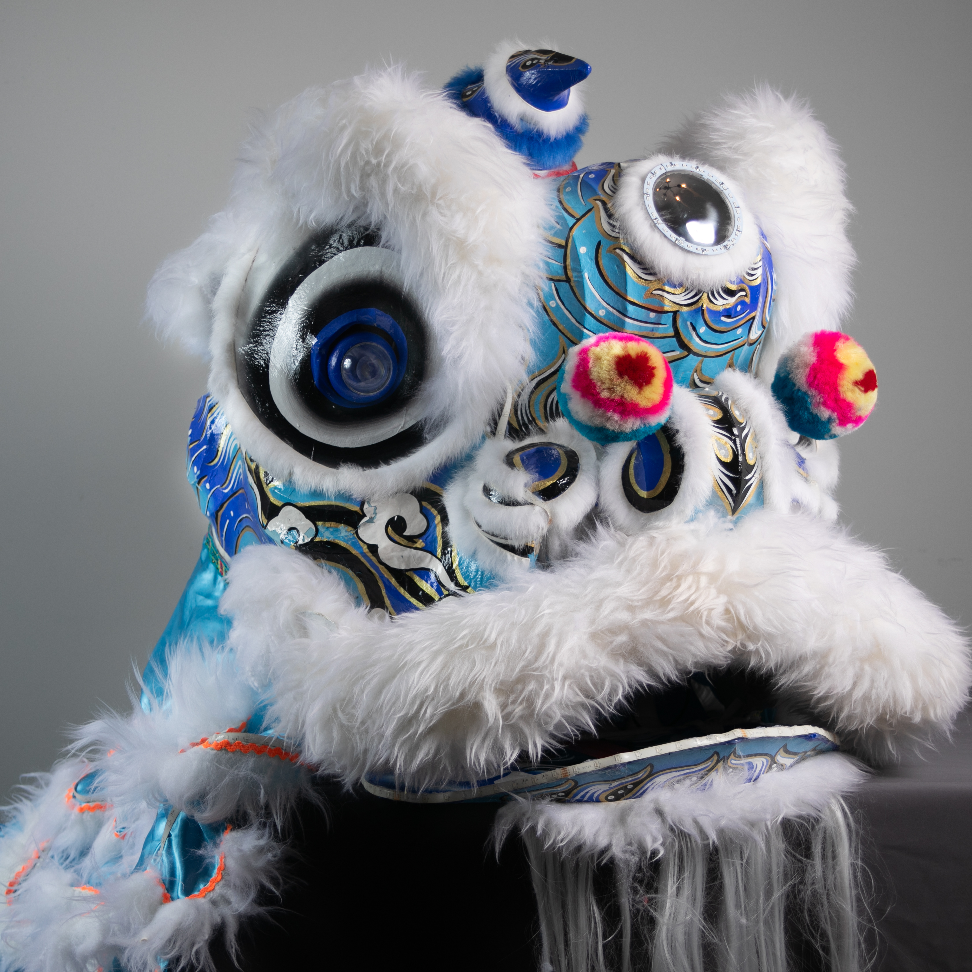 lion picture L1 White/Blue